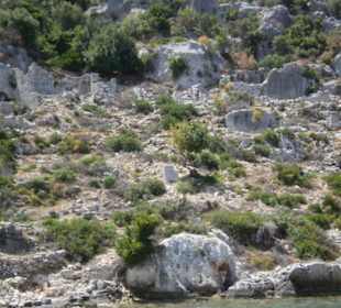 Traumhafte Landschaft