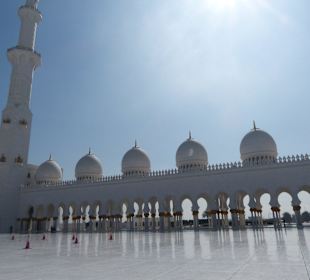 Tolle Lichtspiele nach dem Nebel