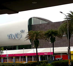 Vivo City Mall