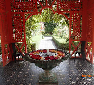 Anima-Garden