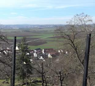 Hirschauer Spitzbergwegle (Premiumspazierwanderweg