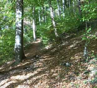 Premiumwanderweg hochgehkeltert Neuffen