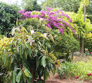 Gärten von Alfabia in Bunyola