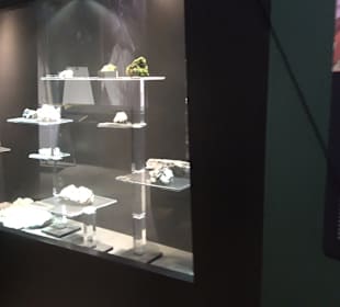 Staatliches Naturkunde Museum