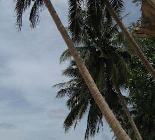 Lamai Beach - Rose Garden