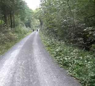 Wanderung Kirnberg-Runde Bebenhausen