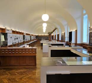 Blick in die Ausstellung des Universitätsmuseums