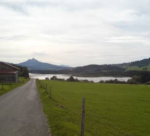 Blick über den Grüntensee auf den Berg Grünten