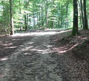 Sternberg