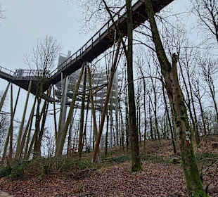 Baumwipfelpfad Saarschleife