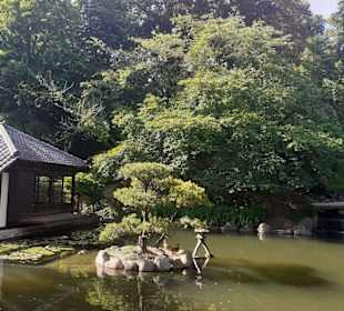 Japanischer Garten in Kaiserslautern