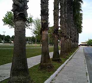 Jale Inan Park