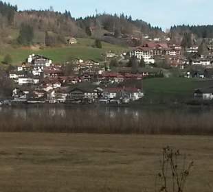 Blick über den See auf Hopfen.
