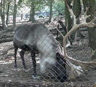 Zoo Brno