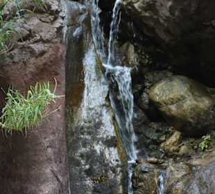 Strumyk na trekkingu Masca, Travel Tenerife
