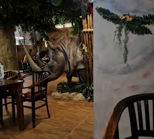 Abenteuer Dschungelland