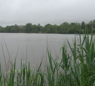 Stadtsee