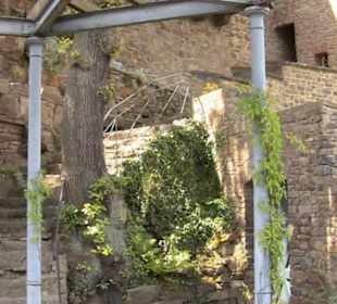 Burg Sooneck