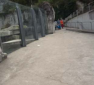 Zoologischer Stadtgarten