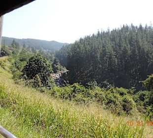 Mit dem Zug ins Hochland