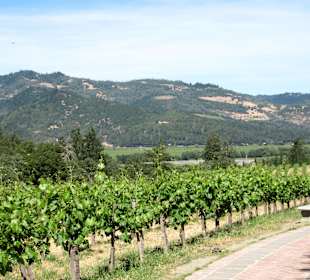 Toller Ausblick über einen Teil des Napa Valley