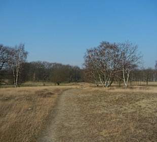Wunderschöne Boberger Niederung