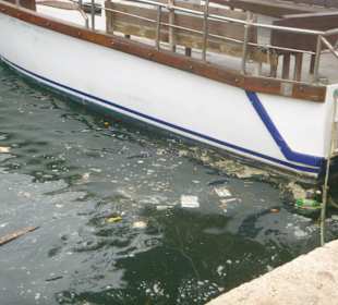 Müll im Hafen