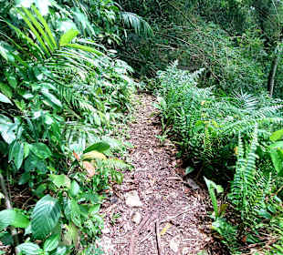 Parque Natural Obô do Príncipe