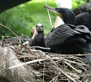 Rundgang im Tierpark