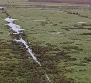 Amrumer Dünen