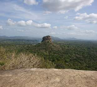 Blick auf den Sigiriya 