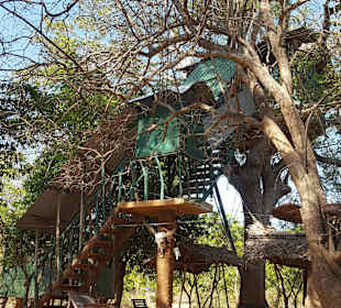 Baumhaus