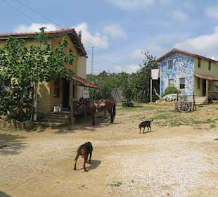 Unterkünfte