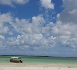 Ausflug auf eine einsame Sandbank 
