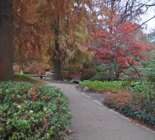 Parkanlage Planten un Blomen