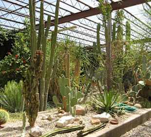 Living Desert Zoo & Gardens in Carlsbad, NM