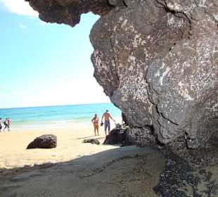 Natürlicher Schattenplatz