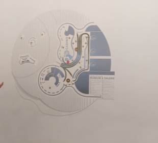 Lageplan des Geländes