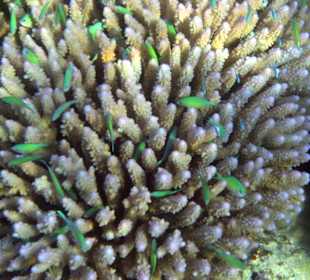 Unterwasser. Einfach toll!