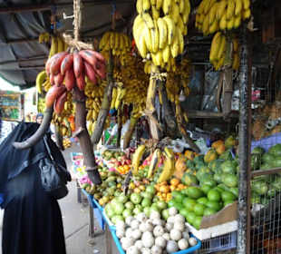 Hochland von Sri Lanka