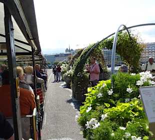 Mit der Mini Train durch die Innestadt von Genf.