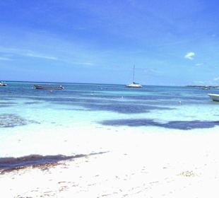 Geheimtip ( Cirka 30 Minuten von Playa Del Carmen.