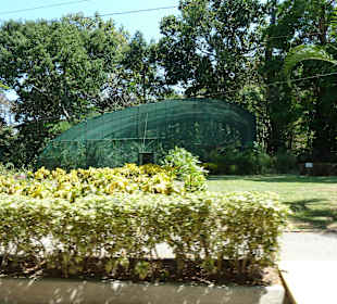 Mariposario (Schmetterlingshaus)