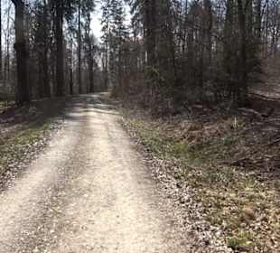 Geologischer Lehrpfad Kirnbachtal