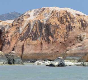 Ein Fels im Wasser an der Anse Volbert