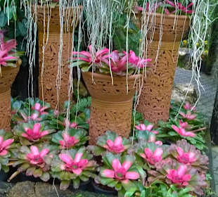 Park Nong Nooch Village and Tropical Garden