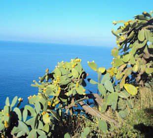 Panoramaweg Capo Vaticano