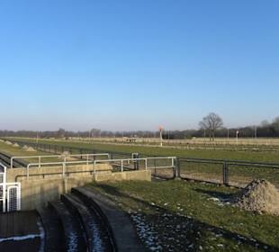 Galopprennbahn Neue Bult
