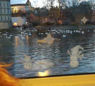 Stadtrundfahrt in Prag