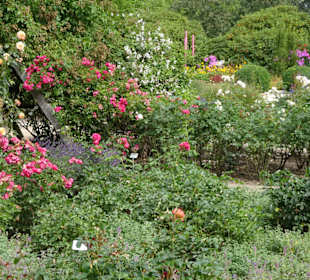 Impressionen aus dem Park der Gärten